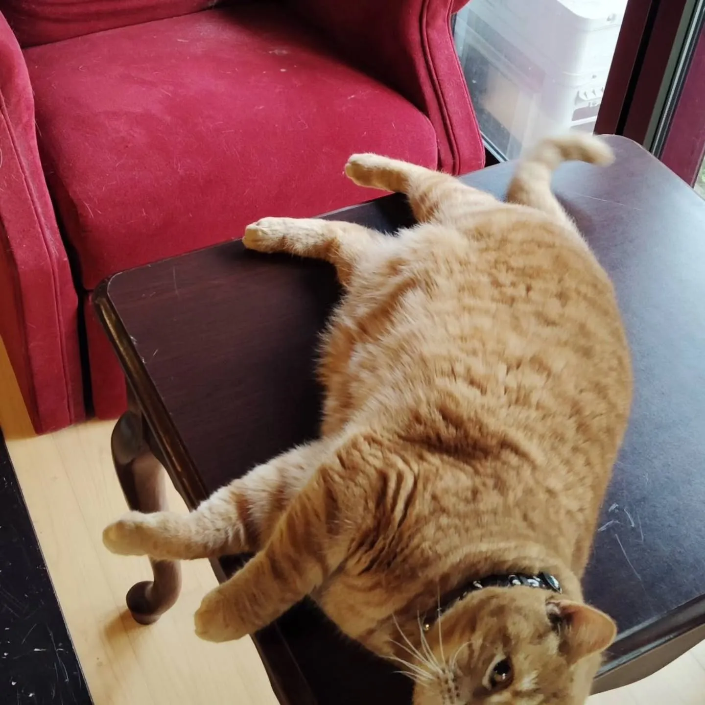 昨日は雨で静かな1日でした。