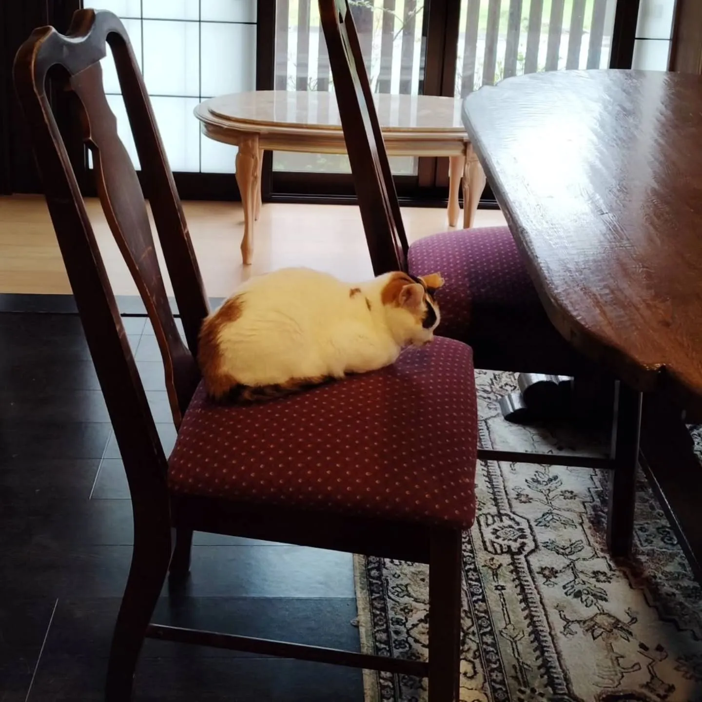 昨日は雨で静かな1日でした。