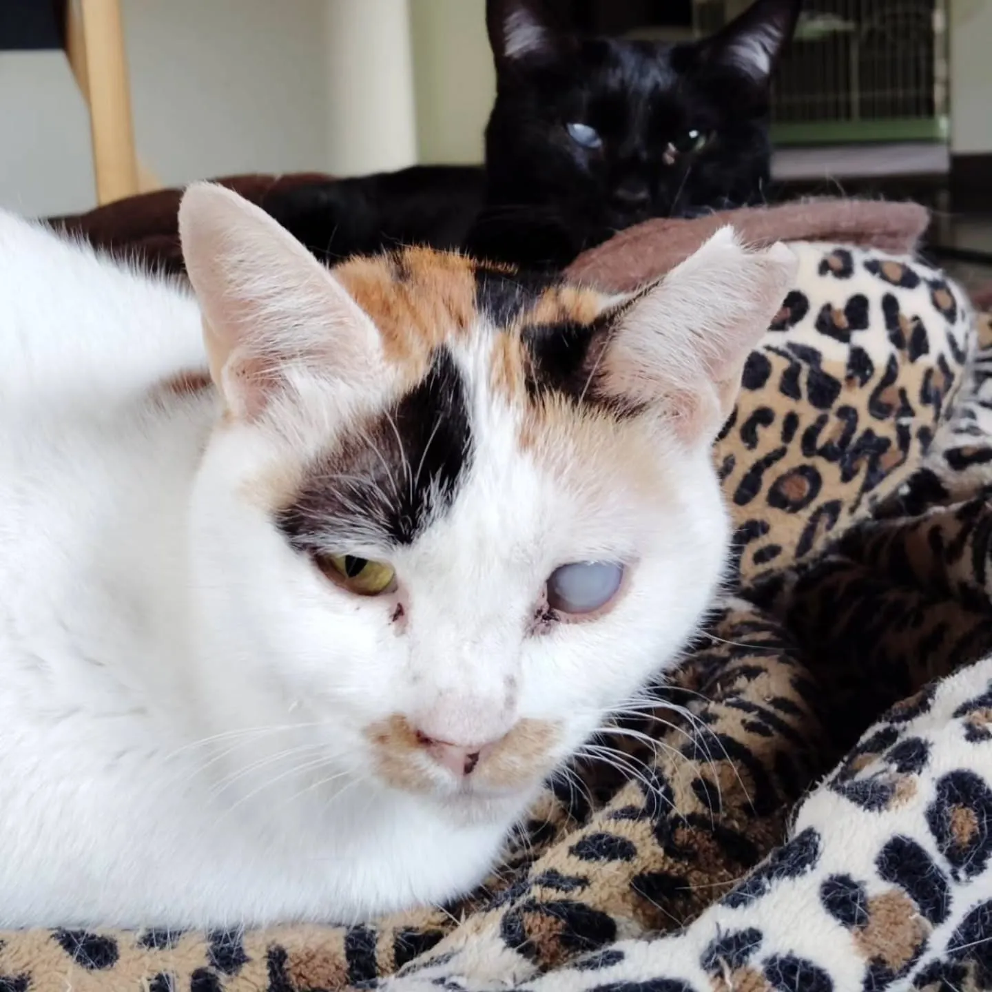 昨日は雨で静かな1日でした。