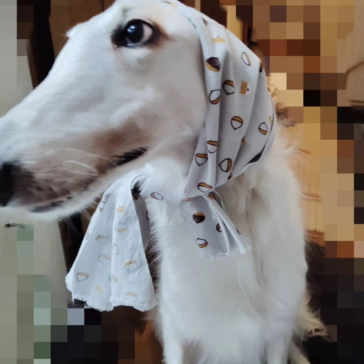 3,4,5日営業いたします。