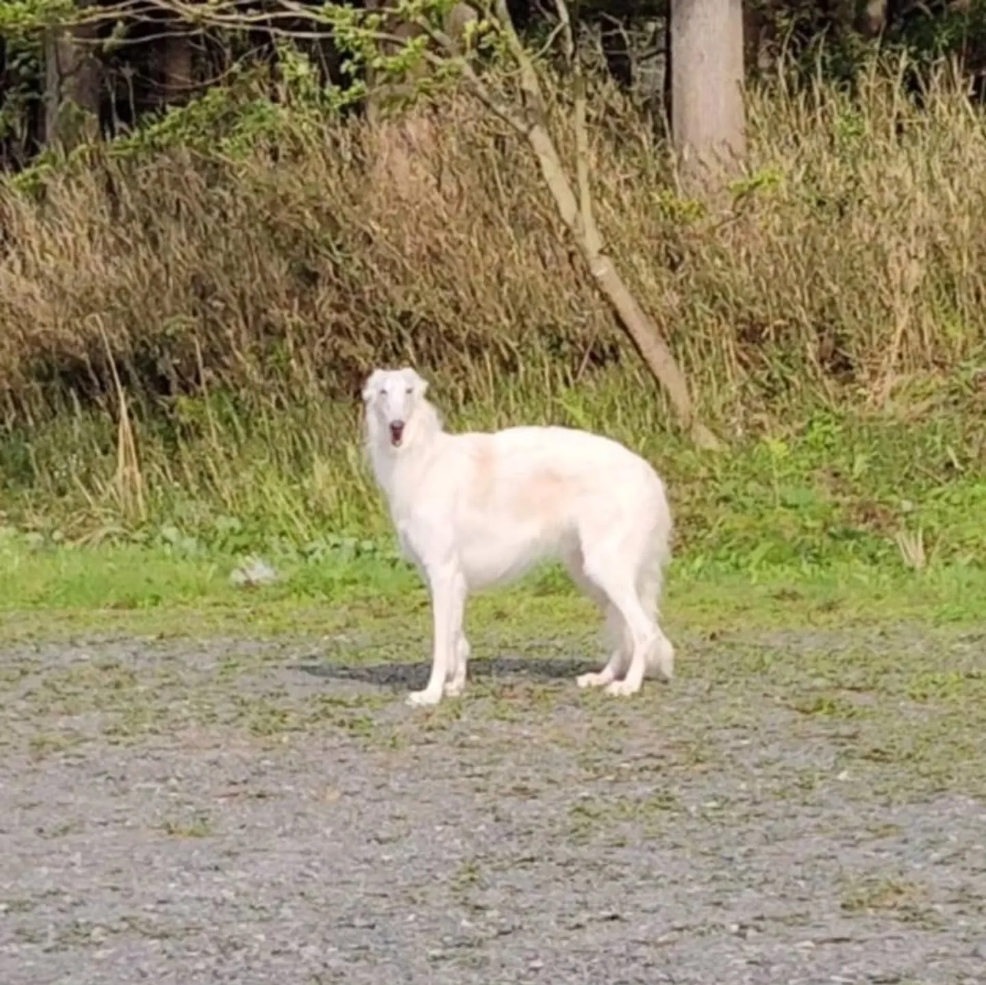 3,4,5日営業いたします。