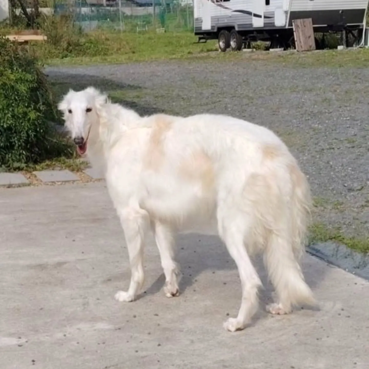 3,4,5日営業いたします。