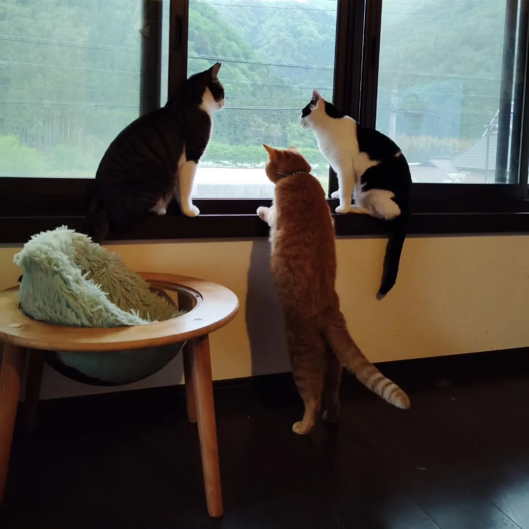 週末、たくさんのご来店ありがとうございました。