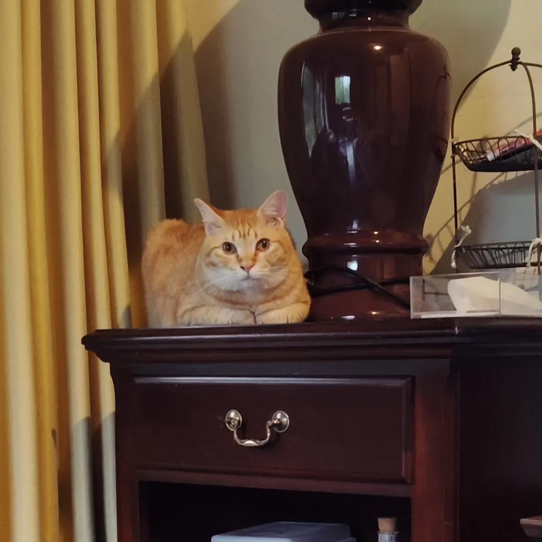 週末、たくさんのご来店ありがとうございました。