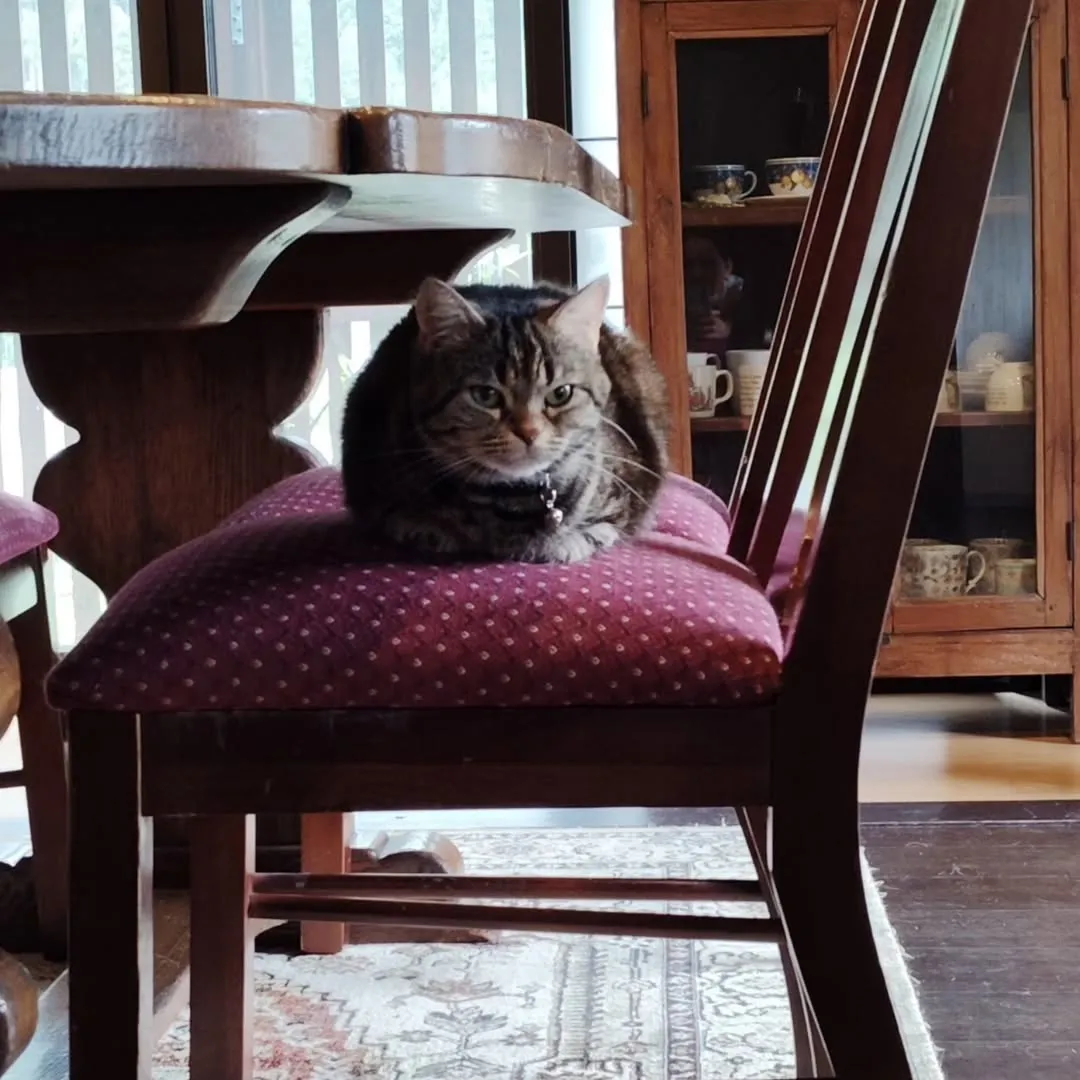 週末、たくさんのご来店ありがとうございました。