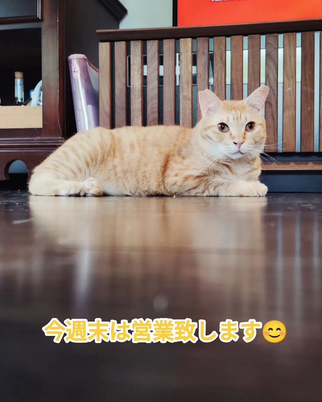 おはようございます。