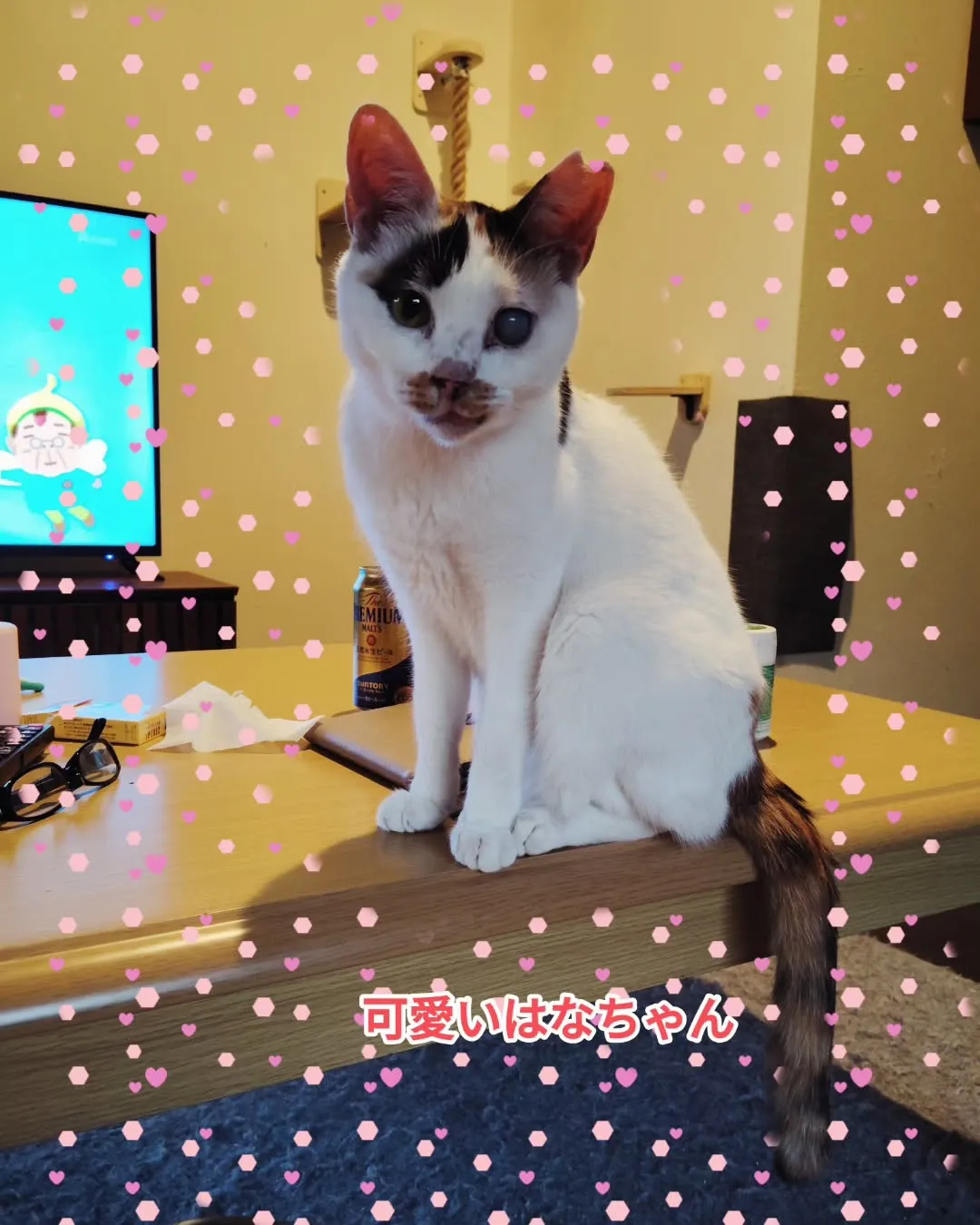 おはようございます。