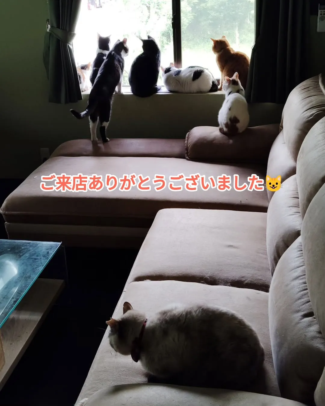 今週末もご来店くださったお客様ありがとうございました🙇お天気...