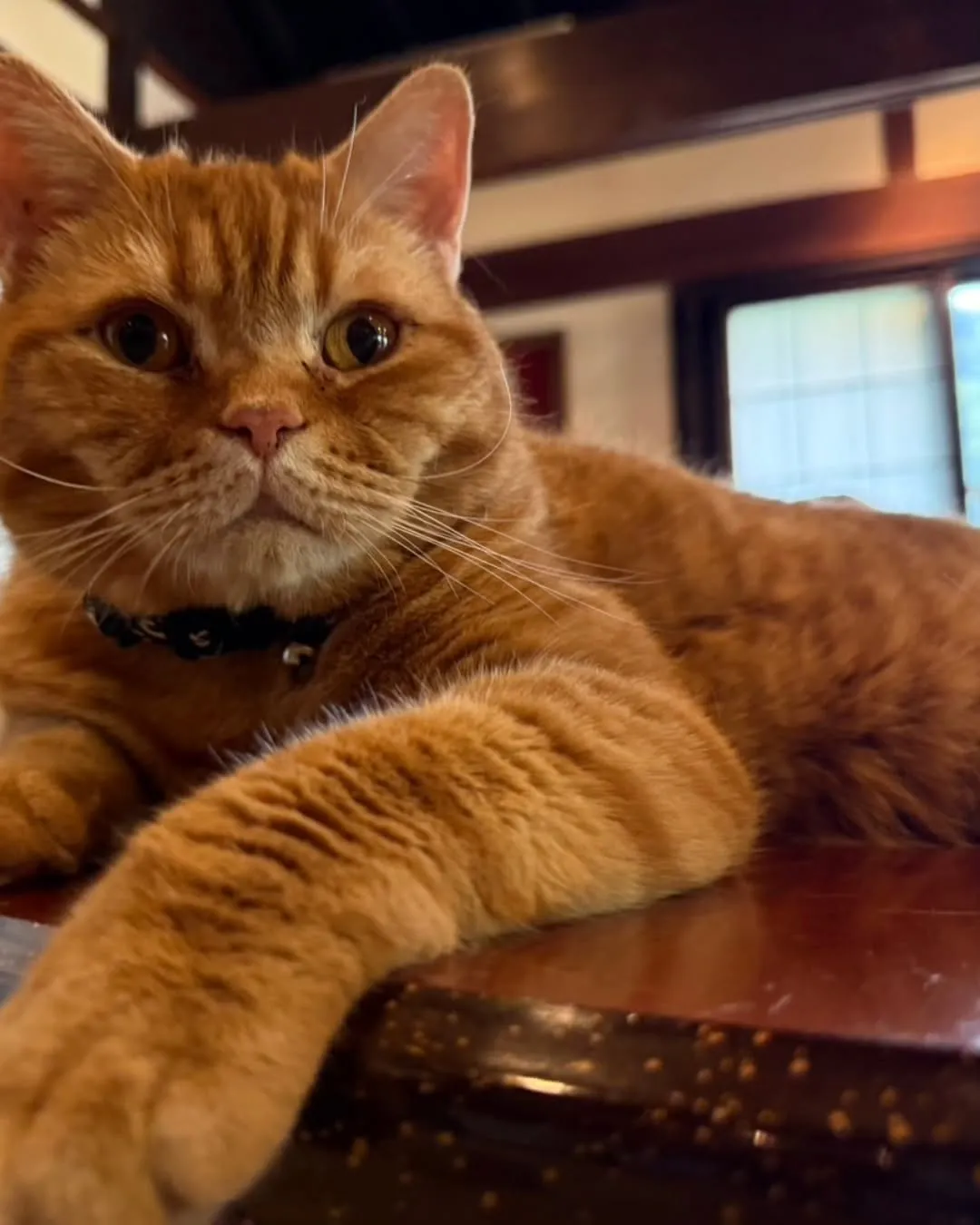 今日は夕方までお天気良さそうです。