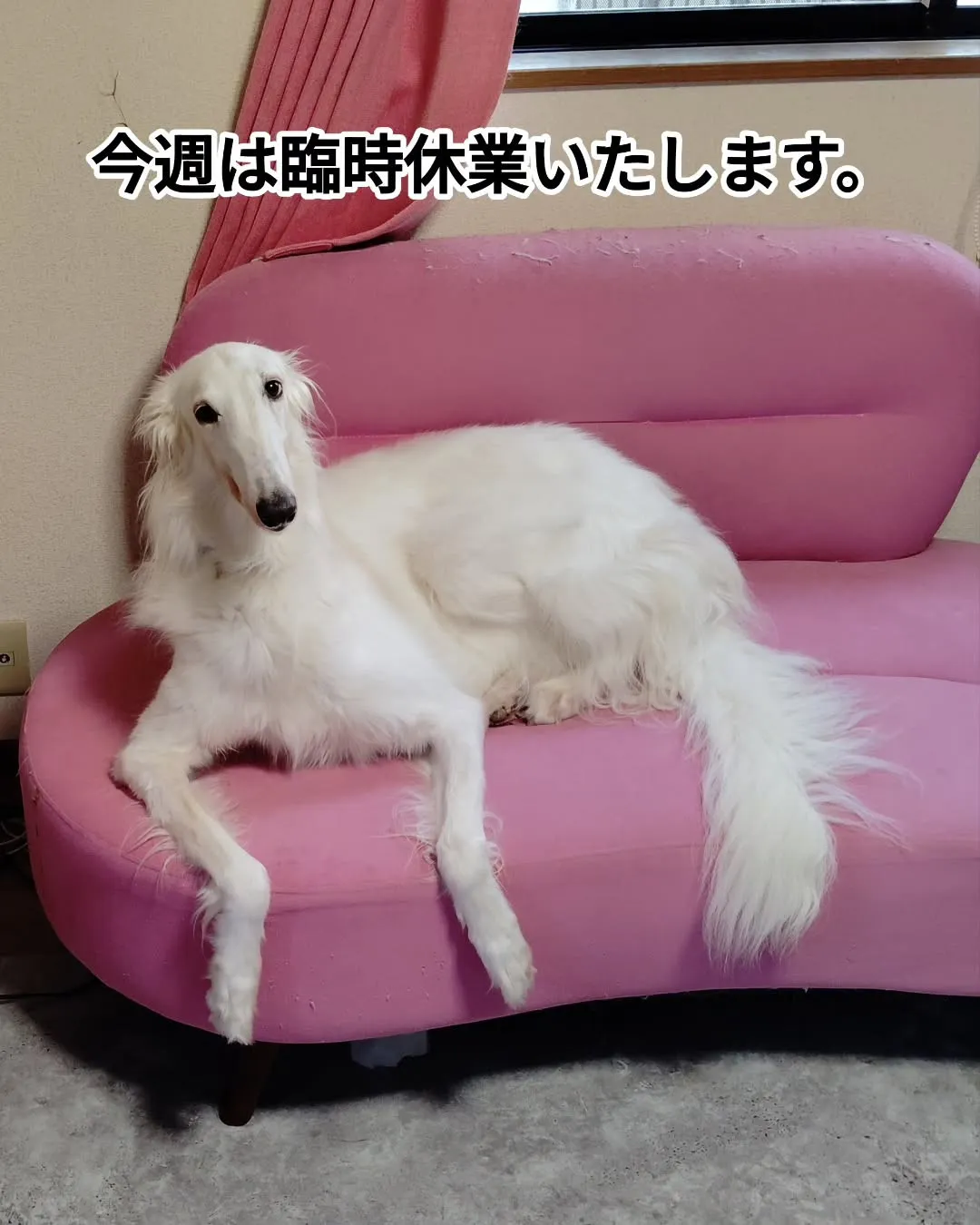 #美山カフェ #京北カフェ #美山ランチ #美山ドライブ #...