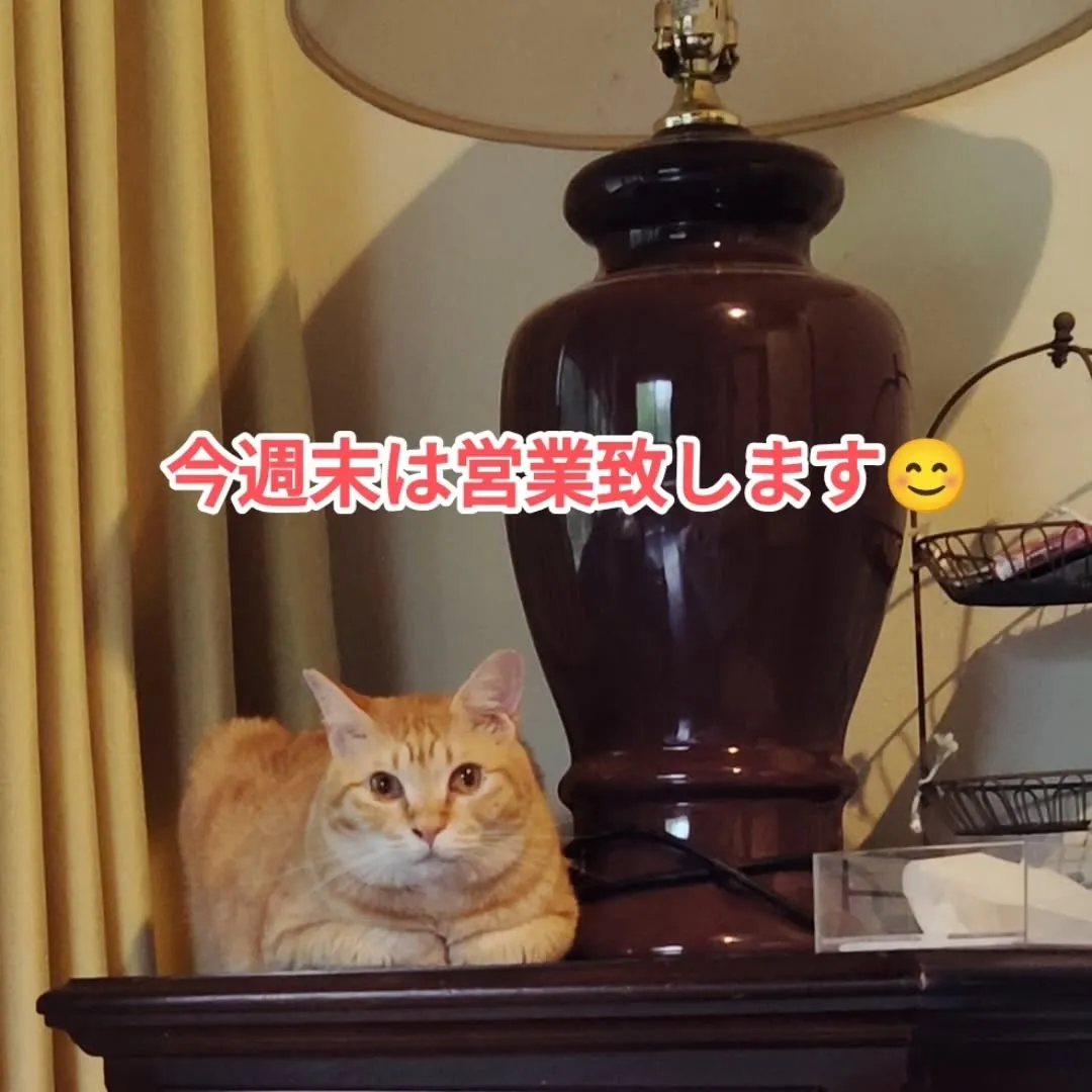 いつもありがとうございます。