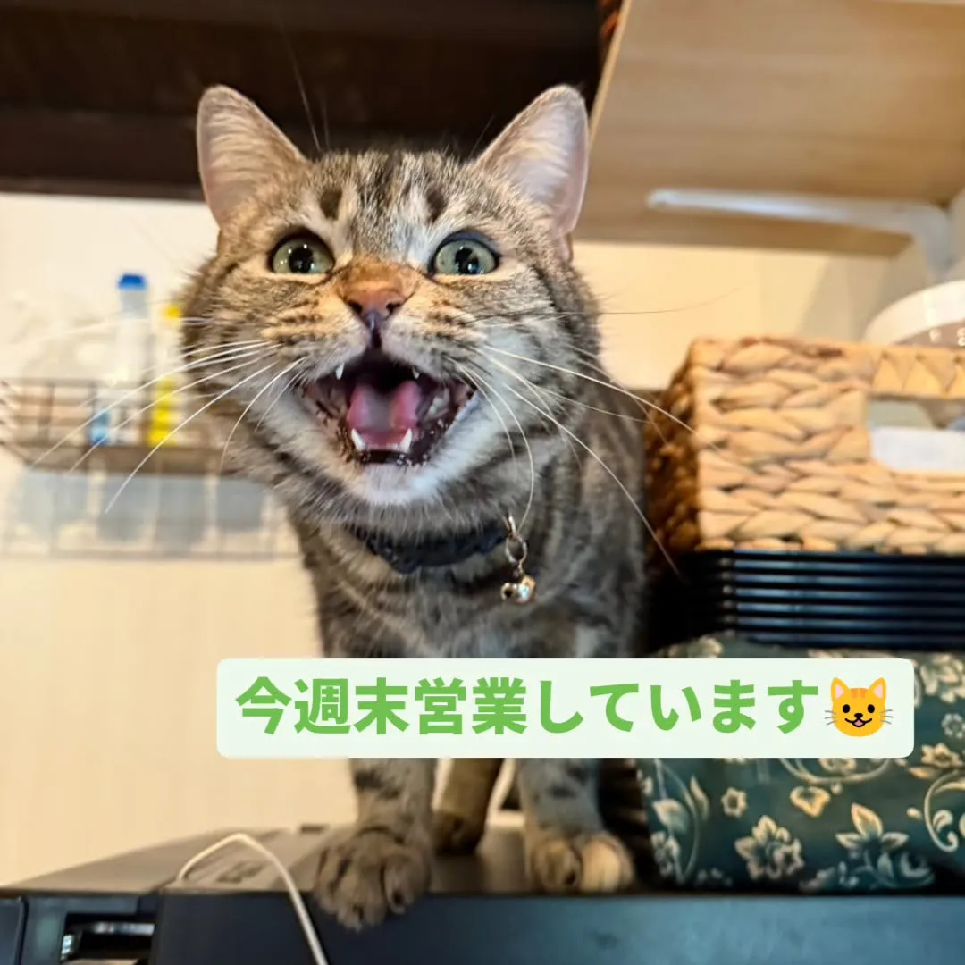 毎日暑いですねー。