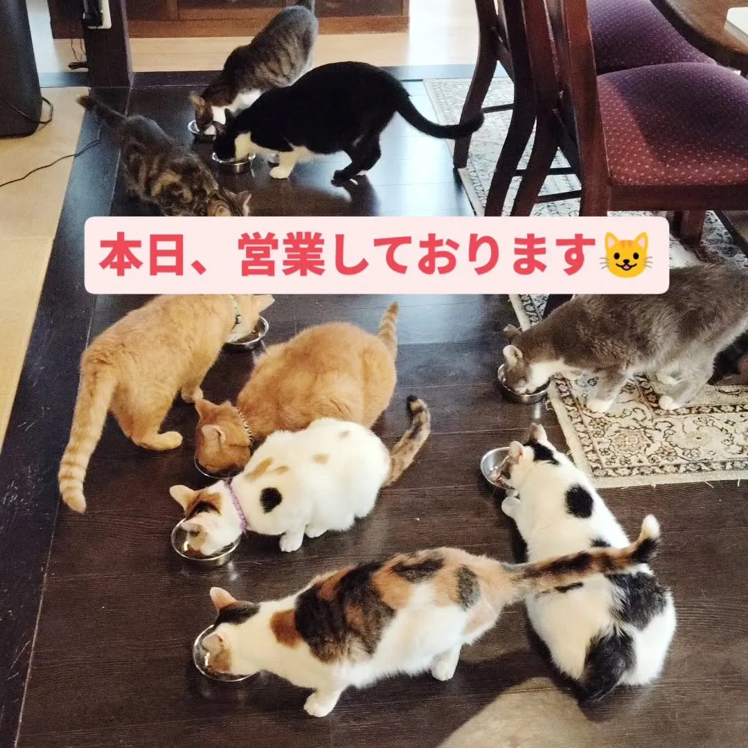 おはようございます。