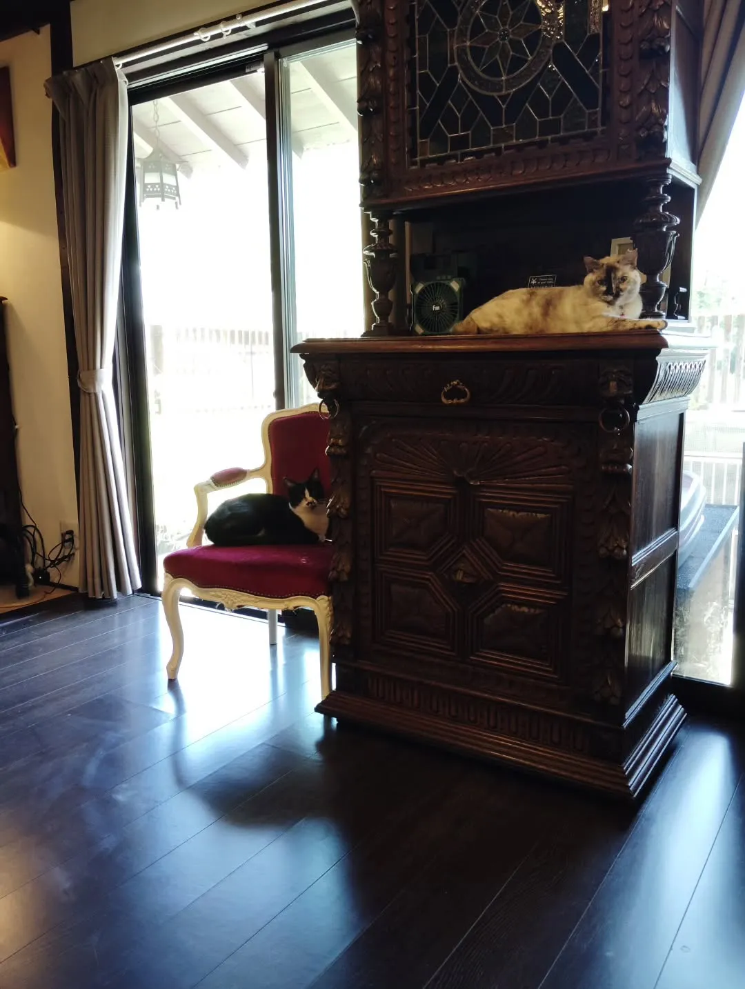 いつもありがとうございます。