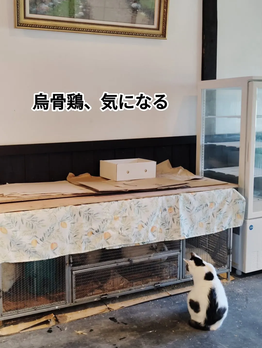 いつもありがとうございます。