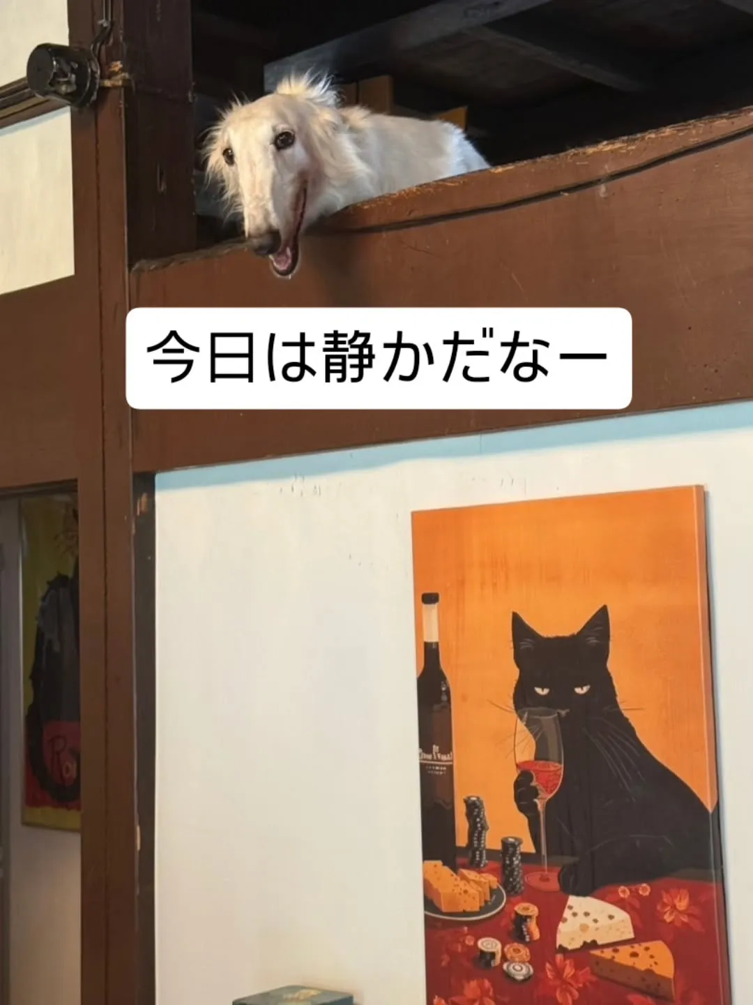 今日は静かな土曜日です。