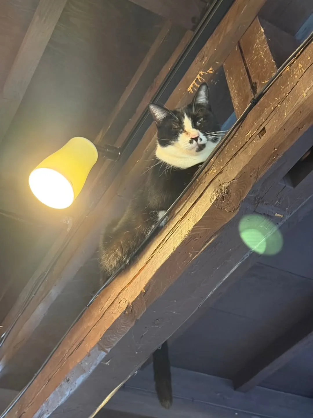 今日は静かな土曜日です。