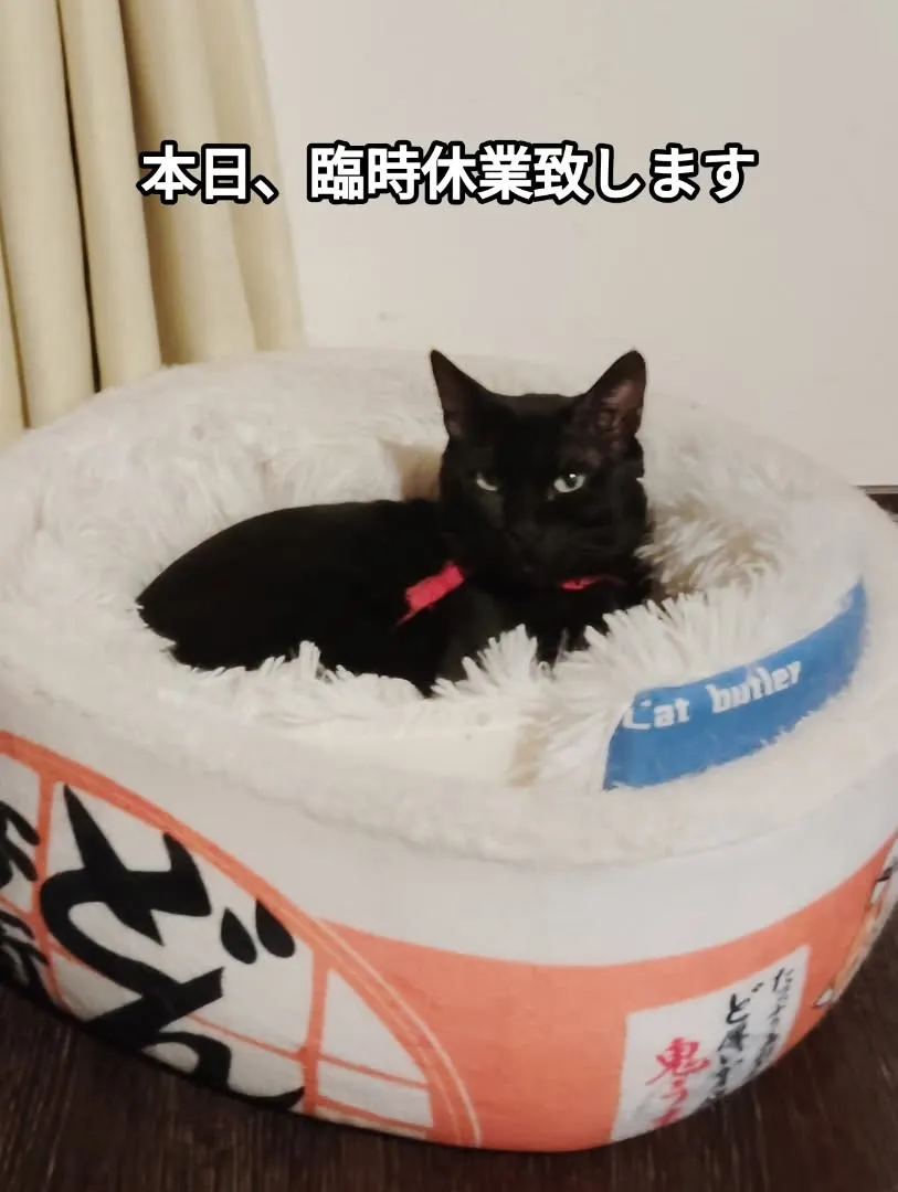 南丹市美山カフェmarco