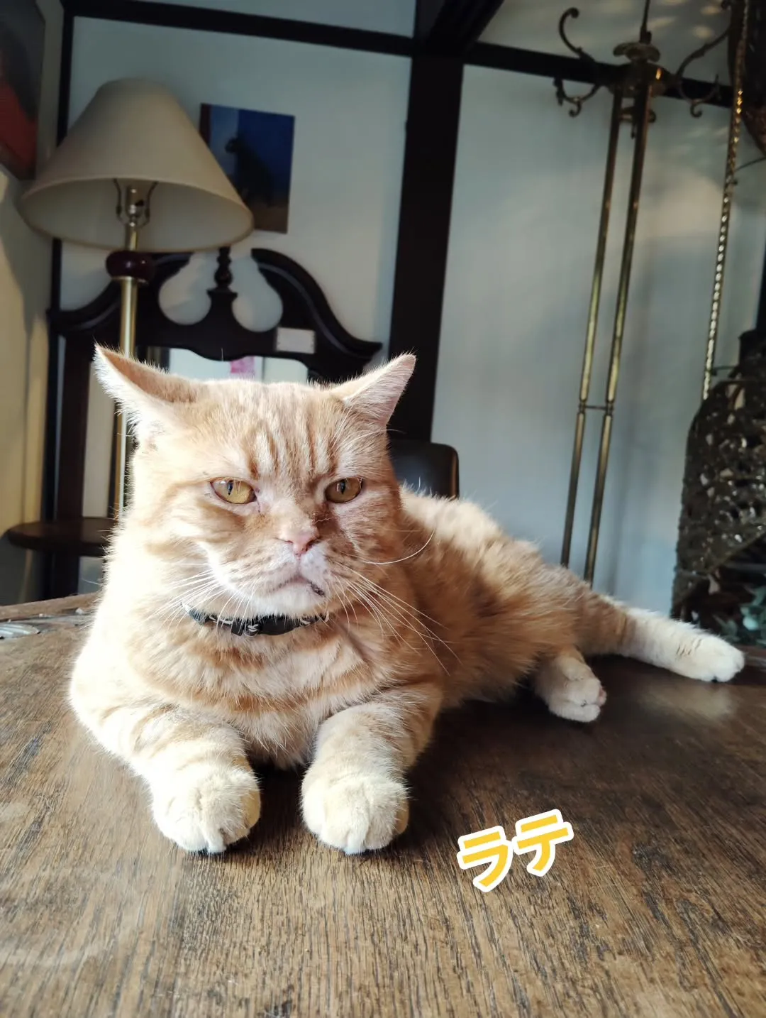 じゃがいもの箱の中が最近のお気に入り。