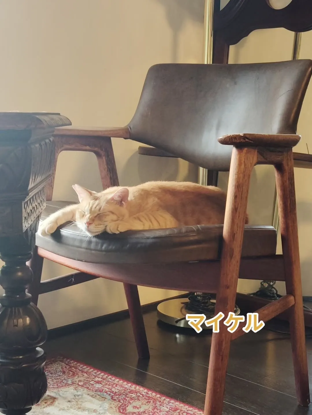 じゃがいもの箱の中が最近のお気に入り。