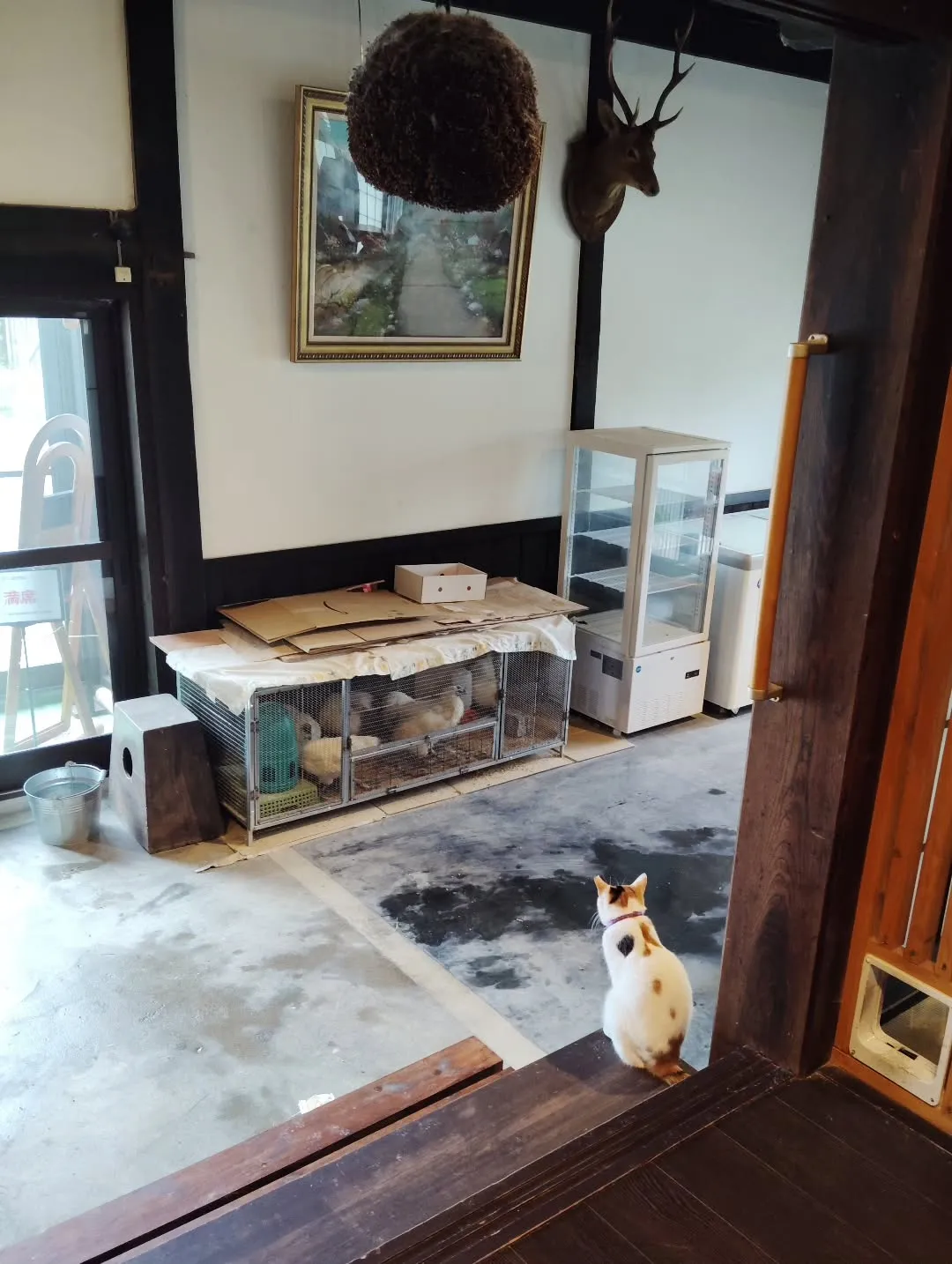 じゃがいもの箱の中が最近のお気に入り。