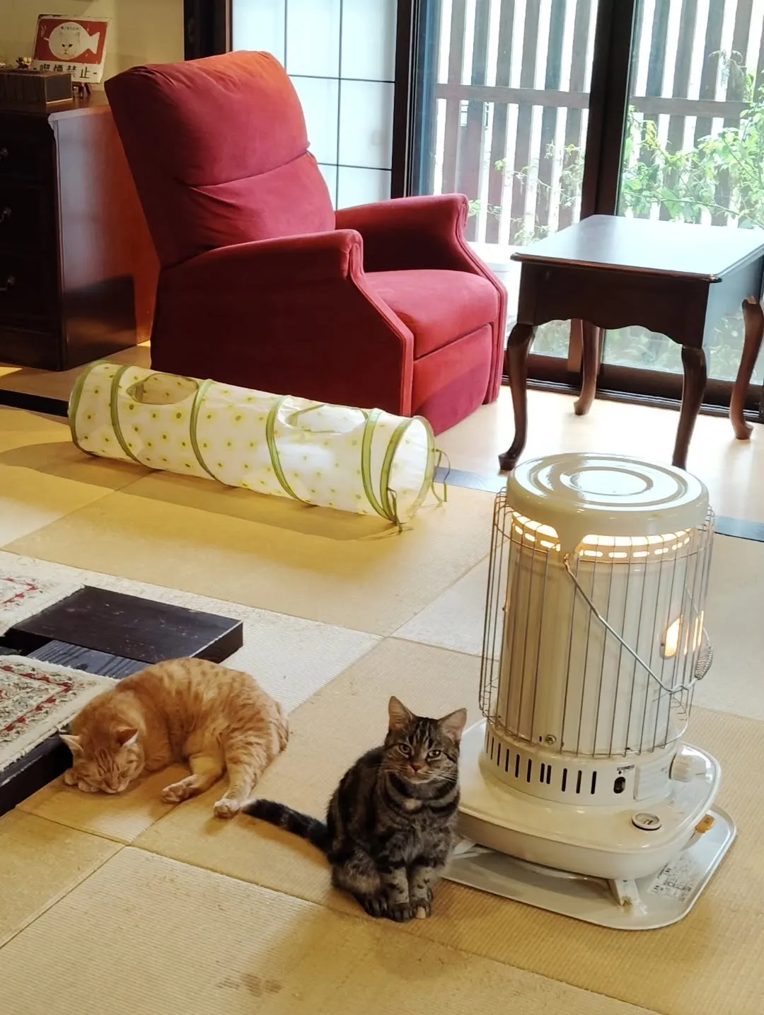 皆、可愛くて癒される毎日🥰