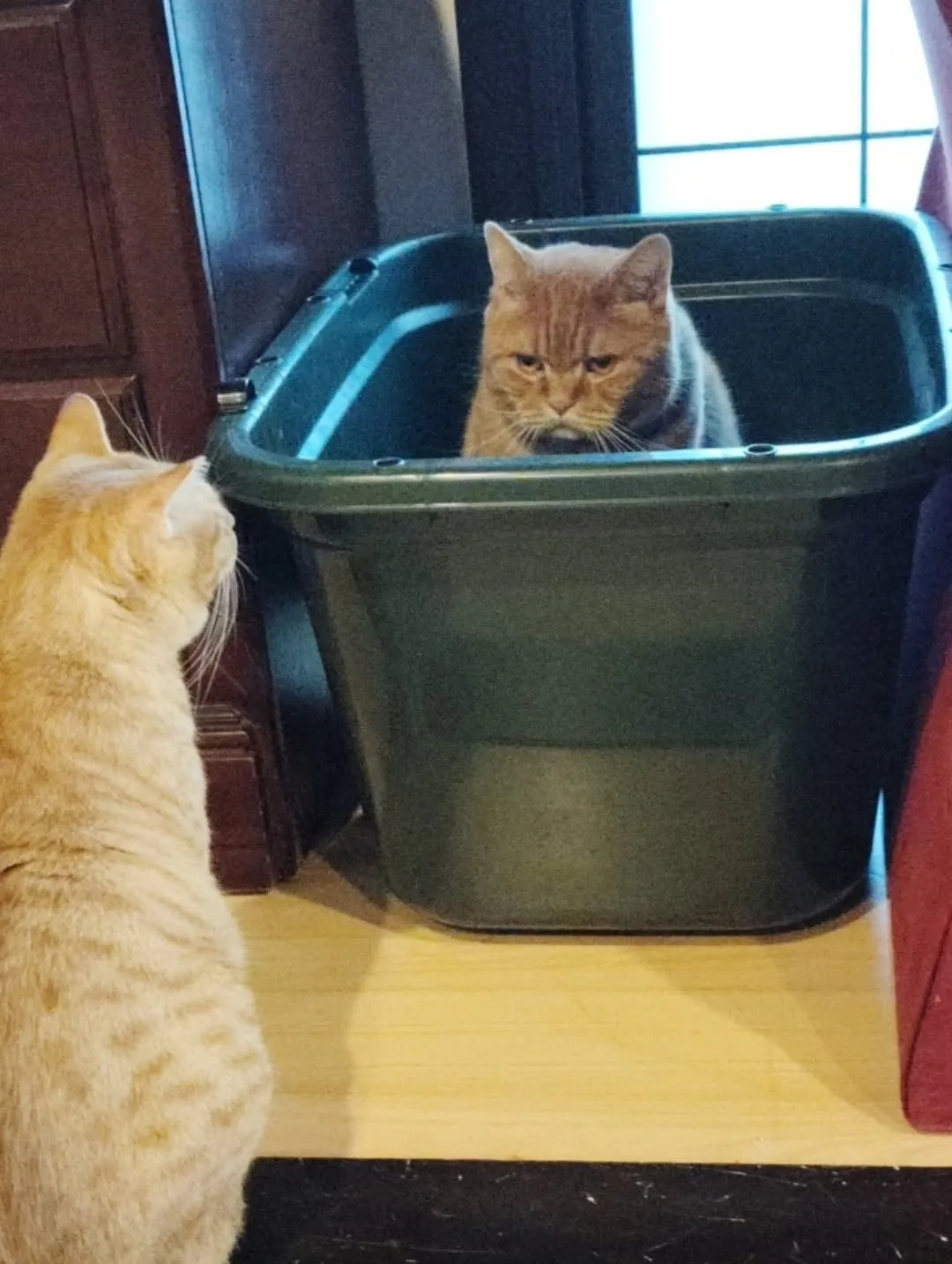 皆、可愛くて癒される毎日🥰