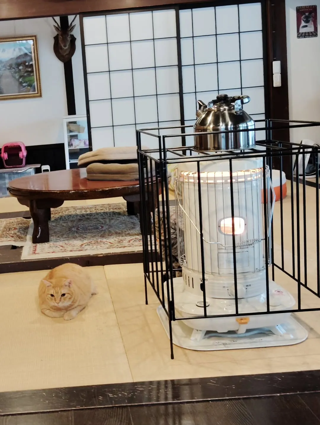 皆、可愛くて癒される毎日🥰