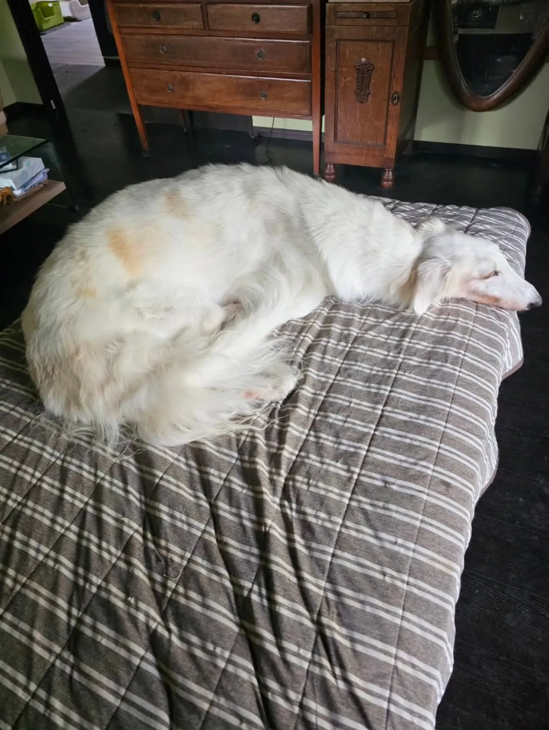 皆、可愛くて癒される毎日🥰