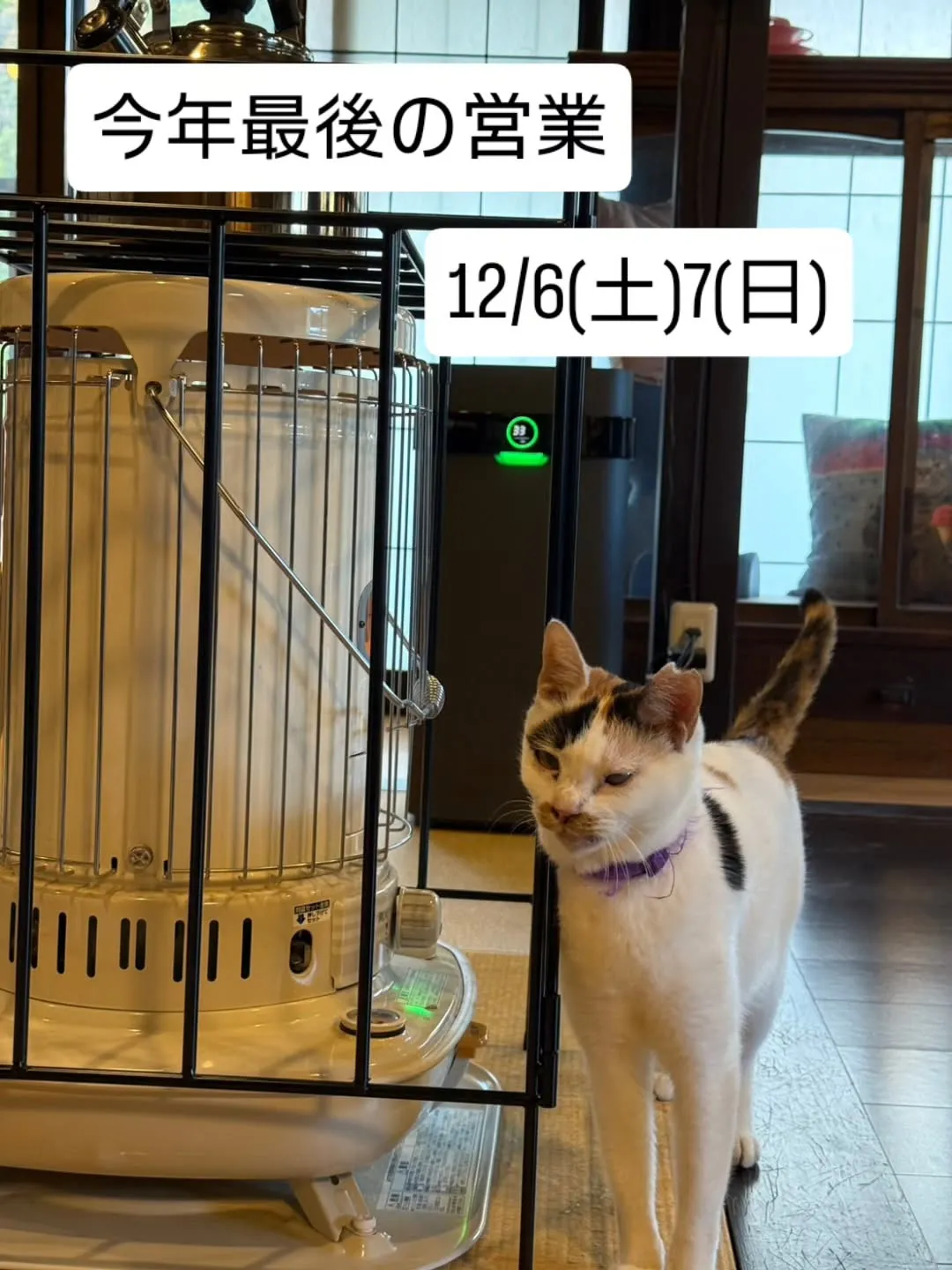 今年最後の営業日