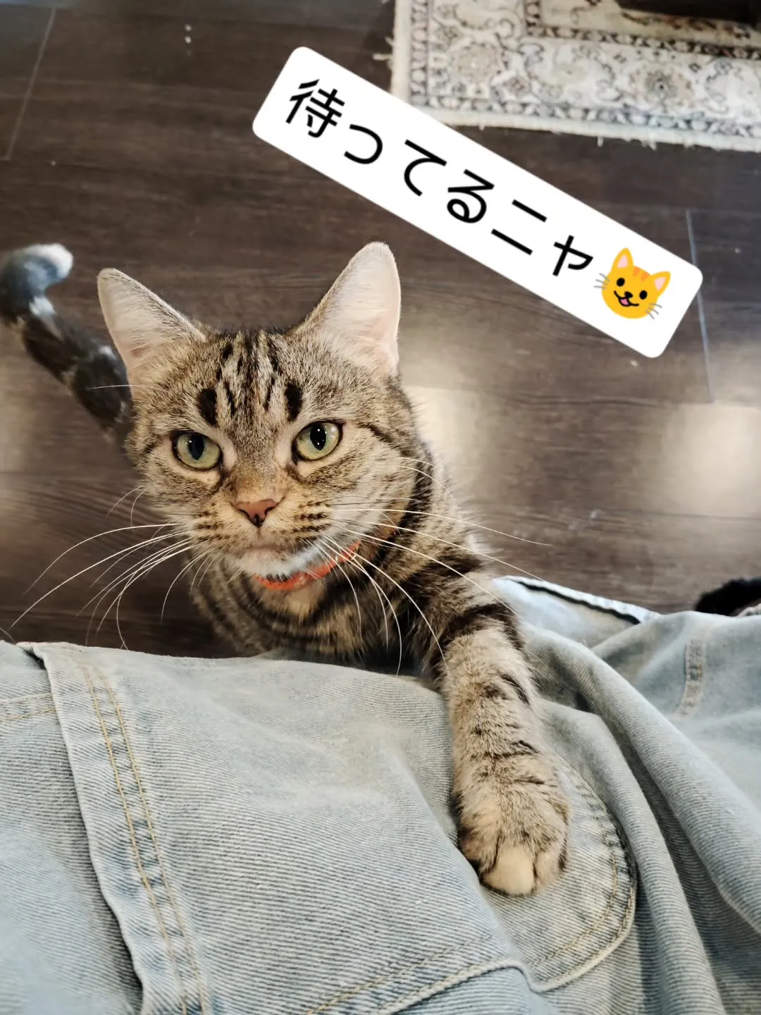 今年最後の営業日