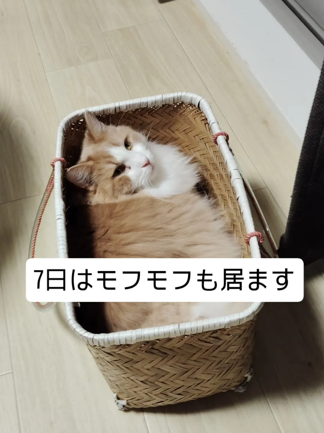 今年最後の営業日