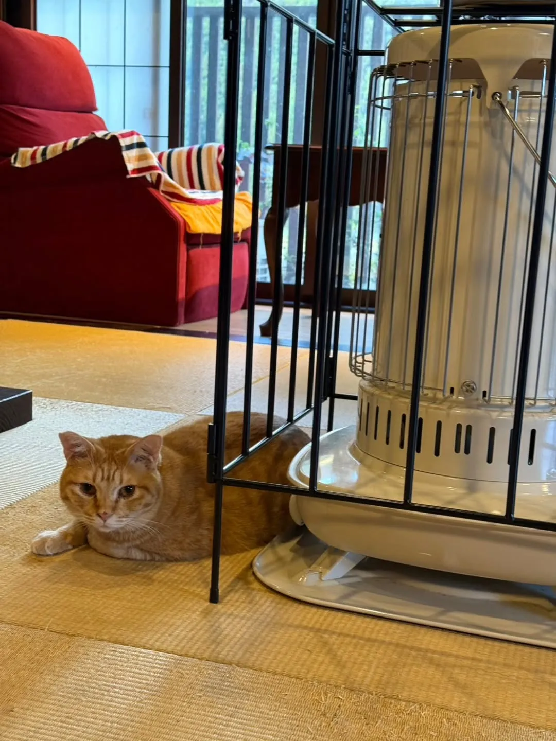 今年最後の営業日