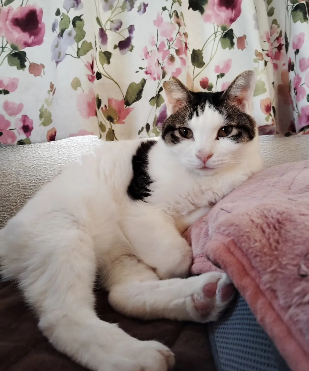 珍しく集合写真撮れた😺可愛いのー❣️