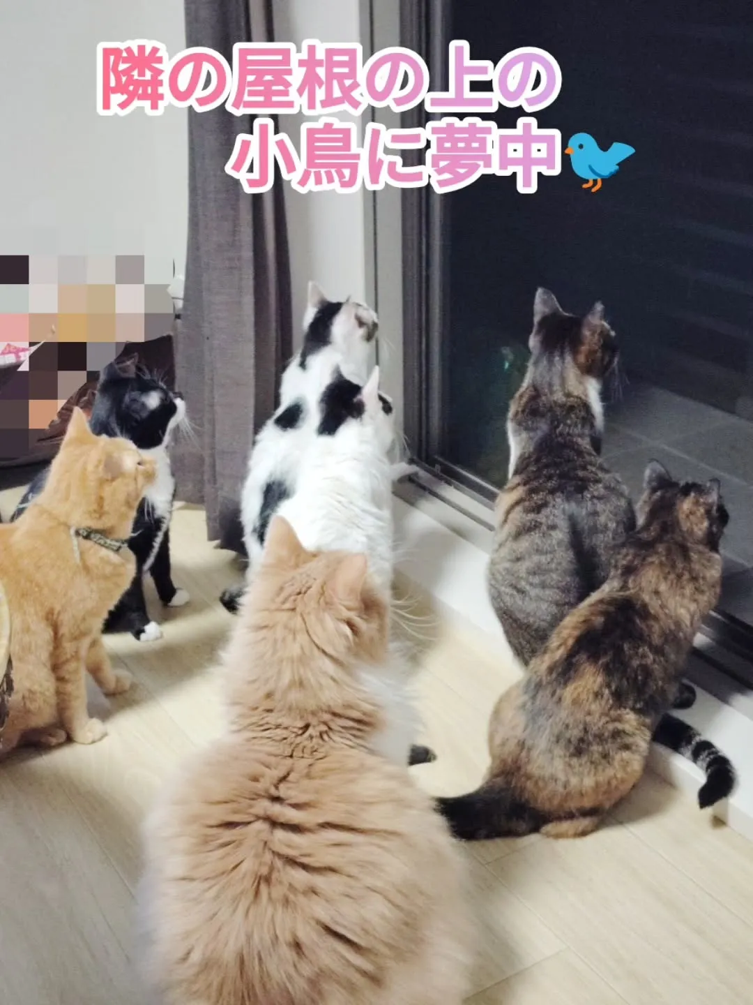 美山cafe　marco