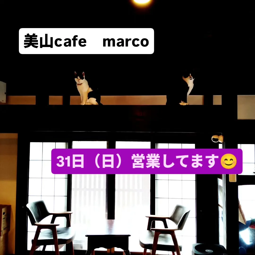 いつもありがとうございます。