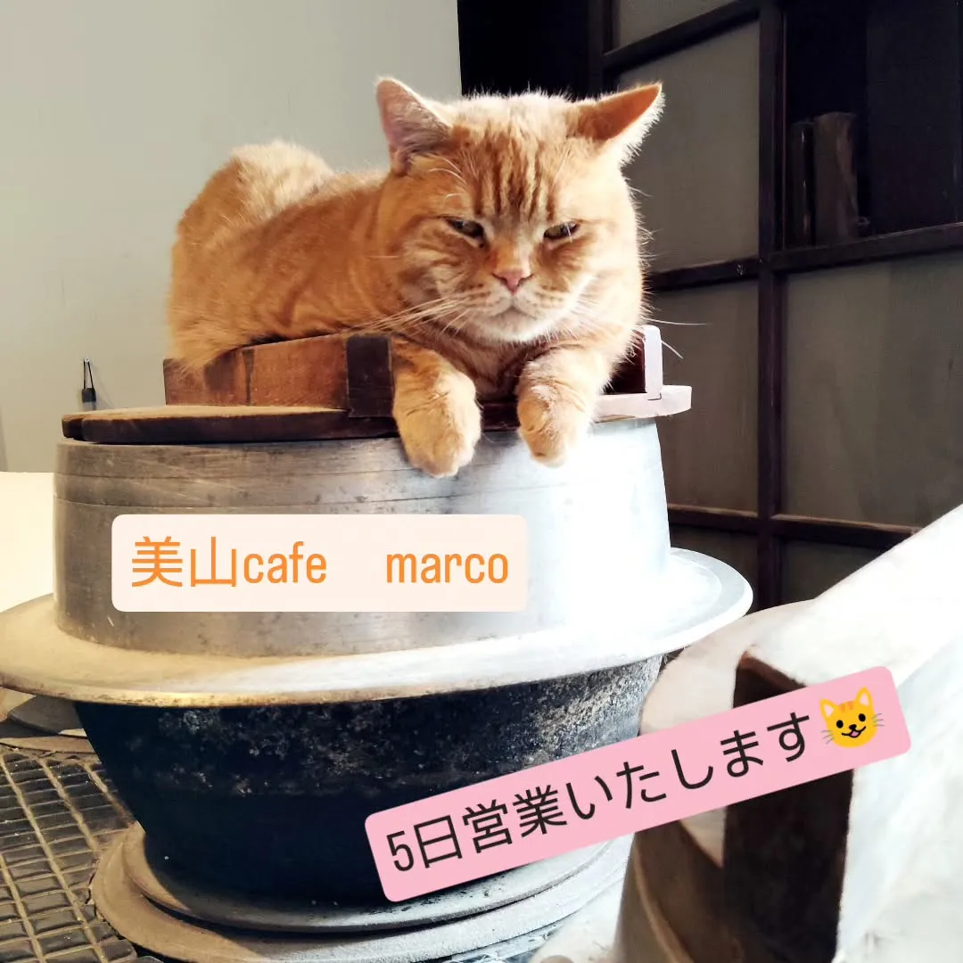今週も通常通り日曜は営業いたします。
