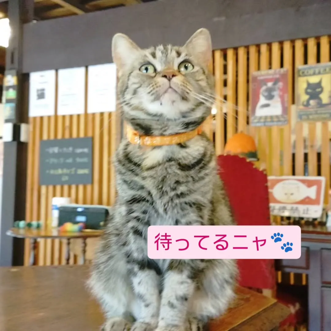 今週も通常通り日曜は営業いたします。