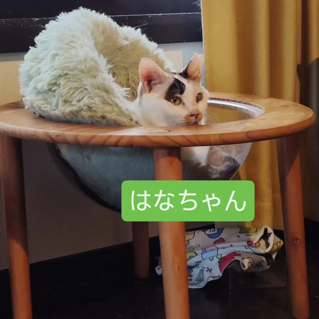 今週も通常通り日曜は営業いたします。
