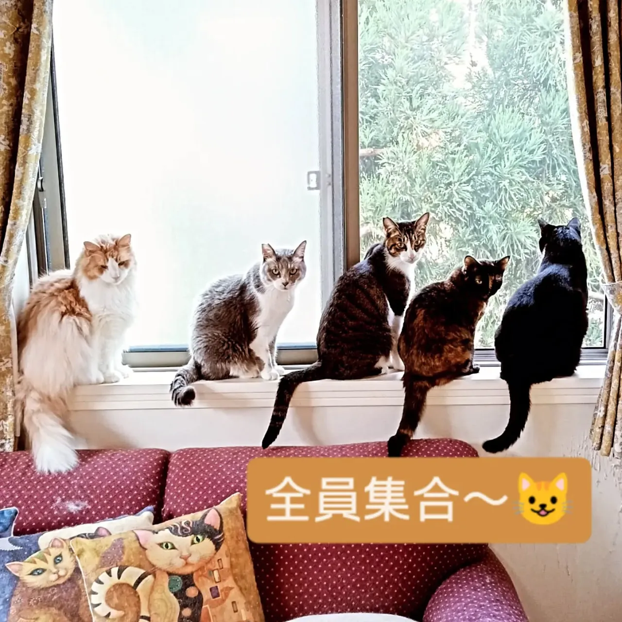 連休はたくさんのご来店ありがとうございました🙇ご入店いただけ...