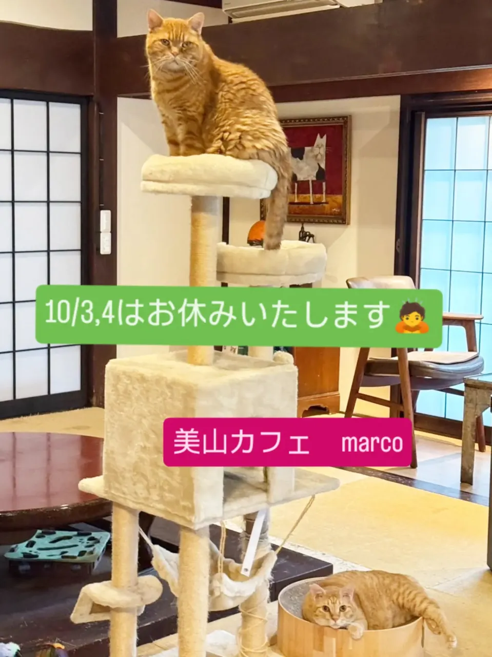 いつもご贔屓くださりありがとうございます🙇今週末3,4日はお...