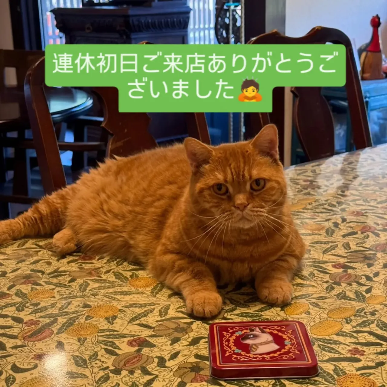 今日から三連休ですね😺🐓本日はご来店くださったお客様ありがと...