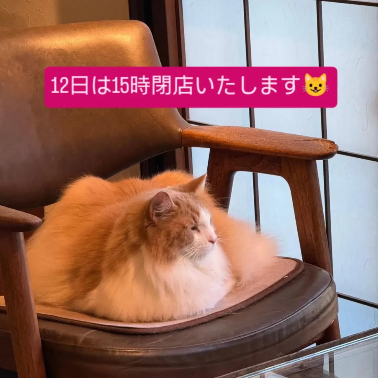今日から三連休ですね😺🐓本日はご来店くださったお客様ありがと...
