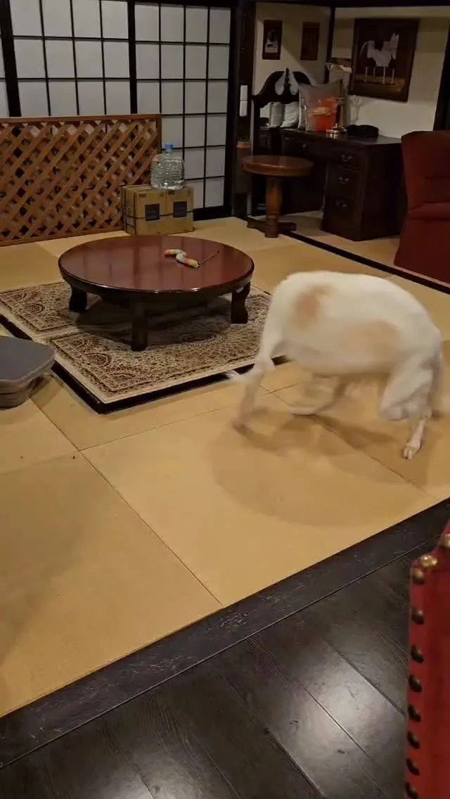 ご機嫌のケリーさん🥰