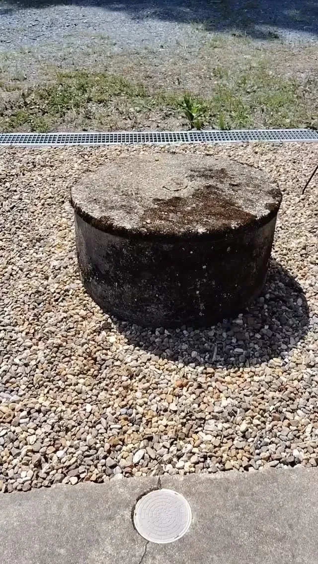 水浴びしたら元気でた！😊