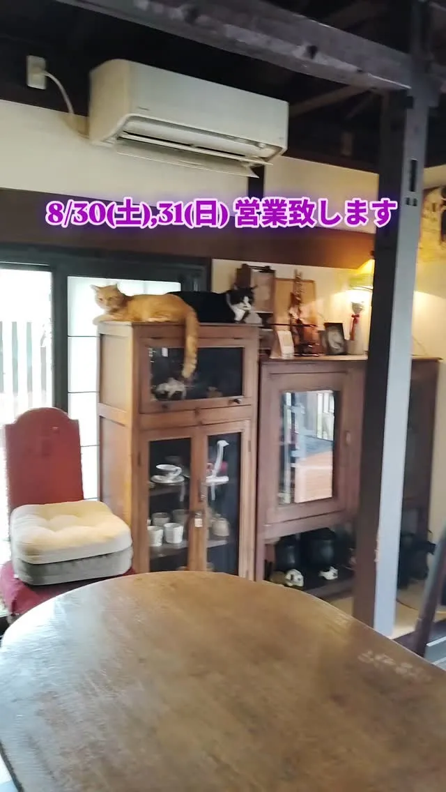 美山町でカフェ巡り