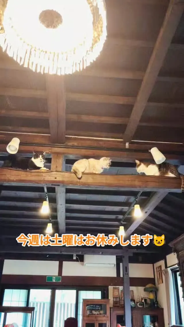 南丹市美山町　カフェ