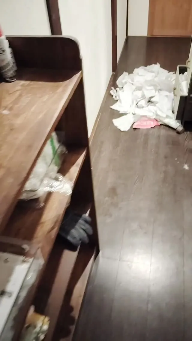 オレオ、最近お気に入りの場所になってる😰上手に隙間から入って...