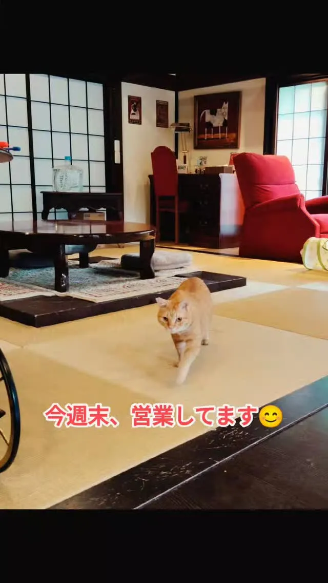 今週末はお天気悪そうですね。