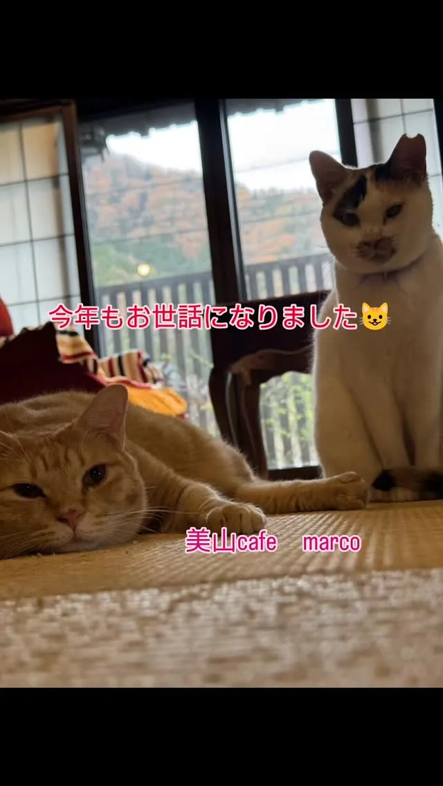 本日、今年最後の営業日